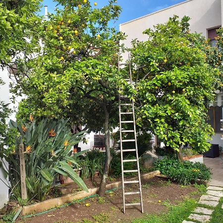 לינה וארוחת בוקר אבטראנה Citrus Garden מראה חיצוני תמונה